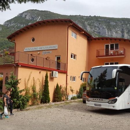 Pensiune Safrane Băile Herculane エクステリア 写真