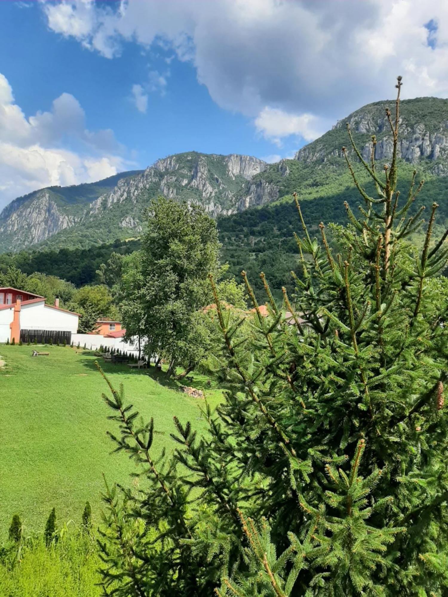 Pensiune Safrane Băile Herculane エクステリア 写真