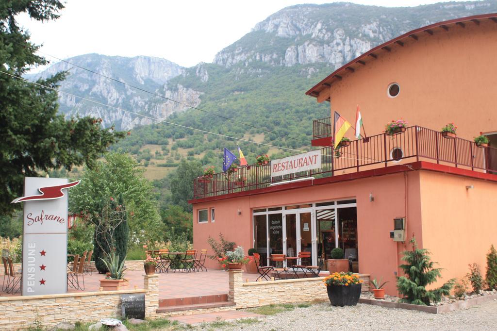 Pensiune Safrane Băile Herculane エクステリア 写真