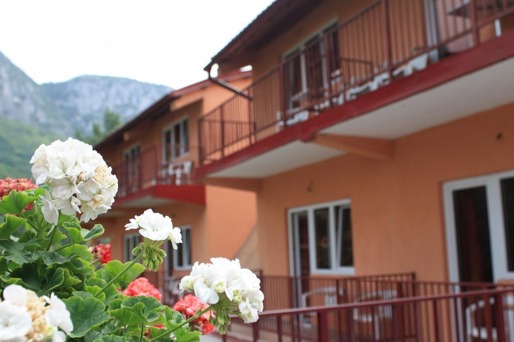 Pensiune Safrane Băile Herculane エクステリア 写真