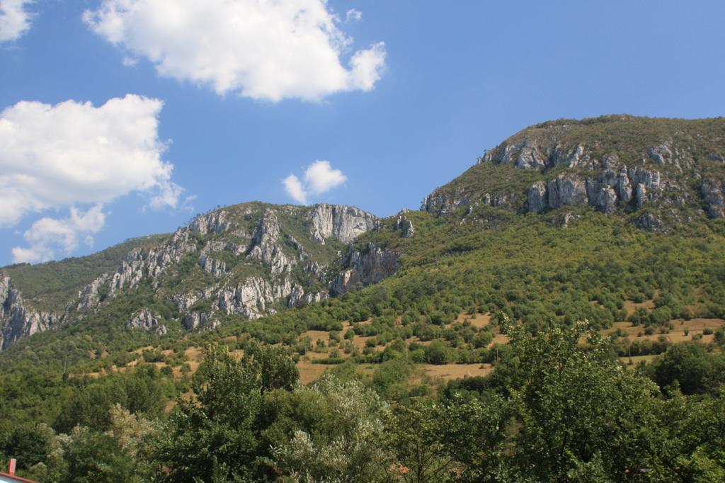 Pensiune Safrane Băile Herculane 部屋 写真